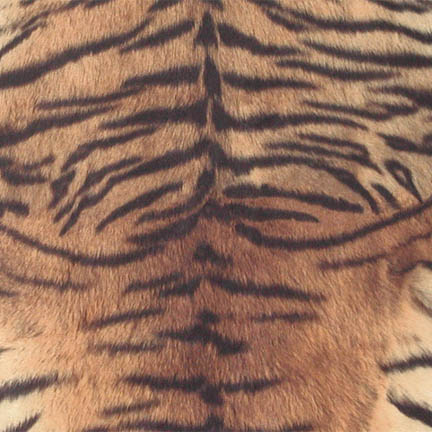 Tiger Print