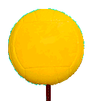 2" Water Polo Antenna Ball
